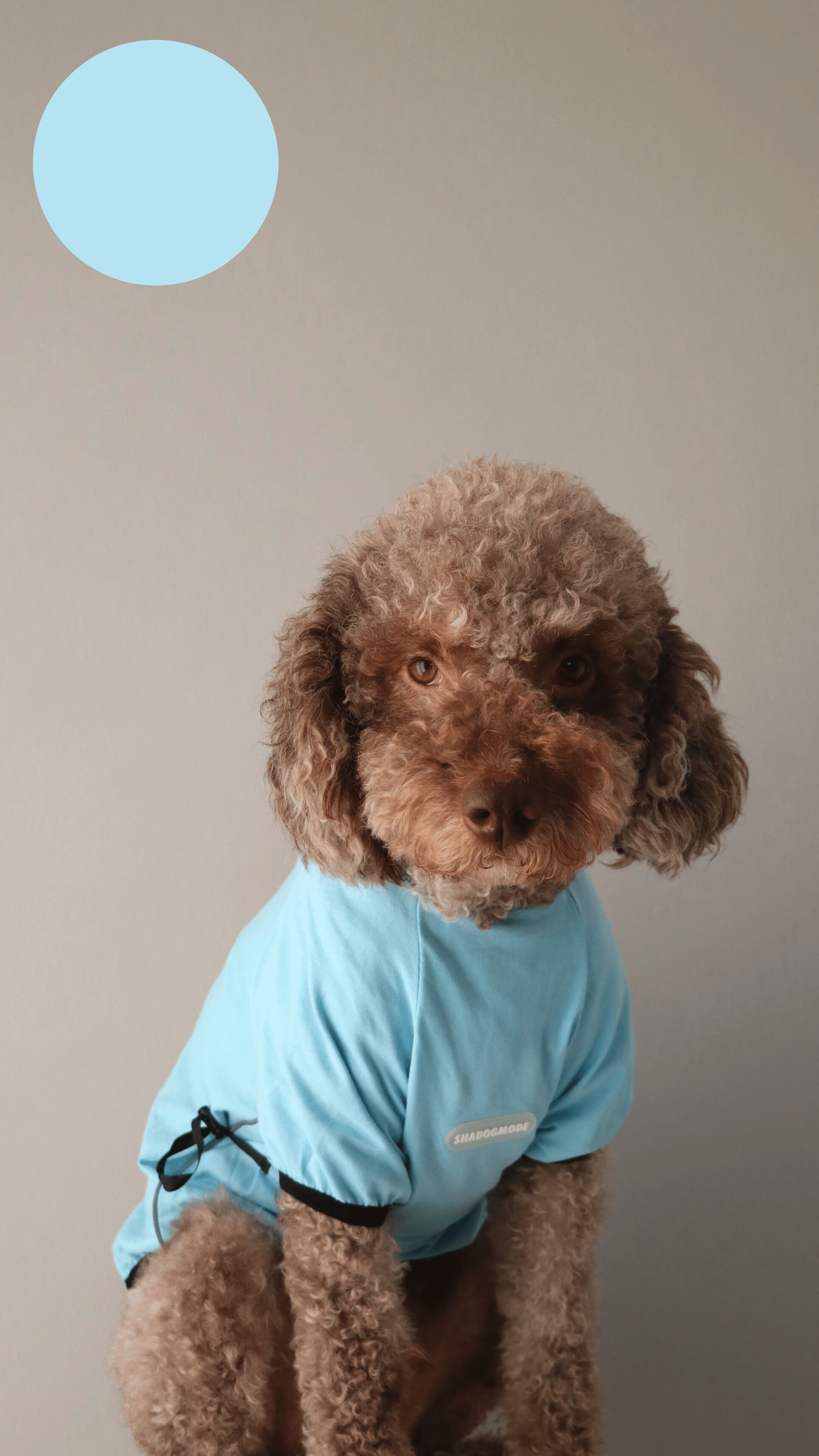BLUEPINK T-SHIRT